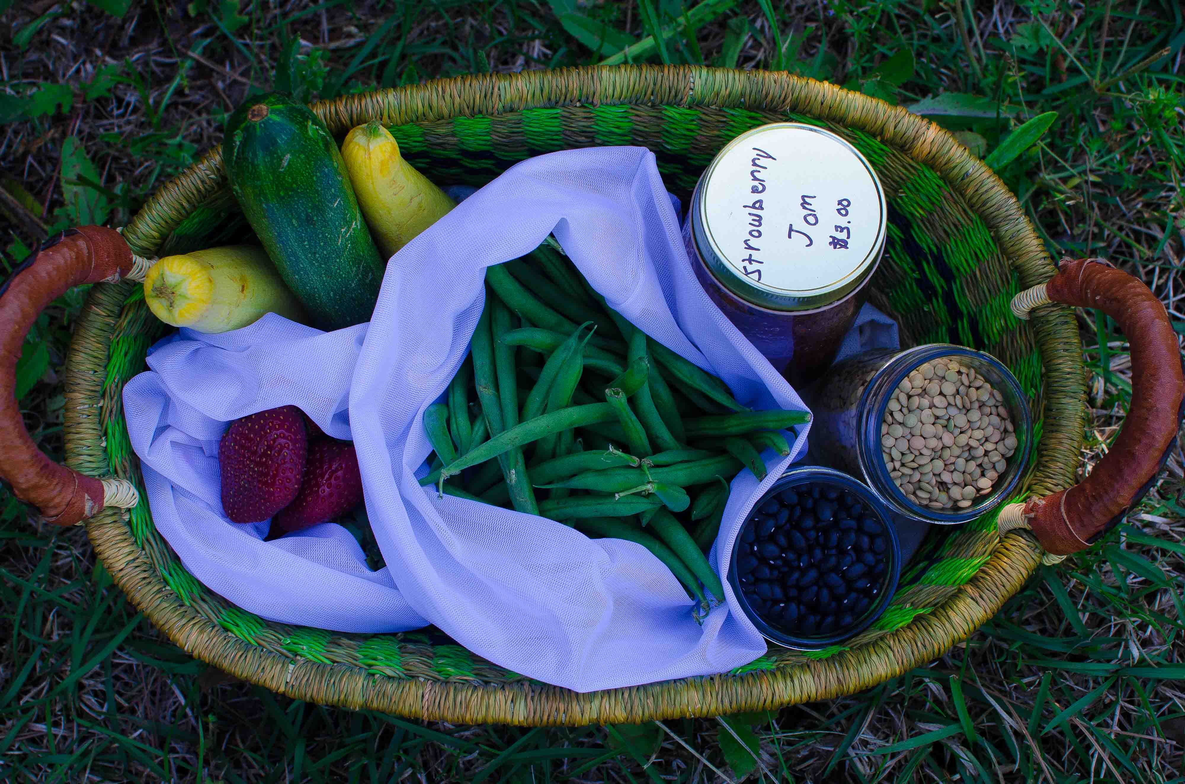 5 Steps to Reduce Plastic Use