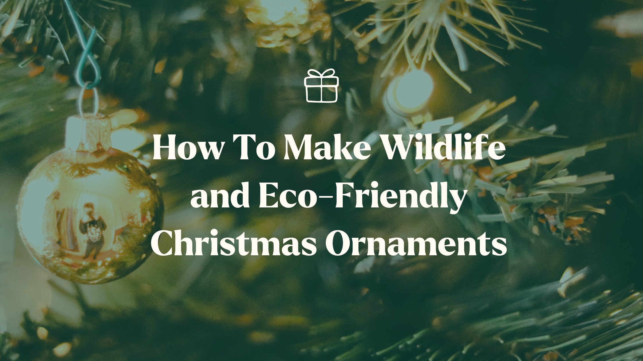 How To Make Wildlife and Eco-Friendly Christmas Ornaments