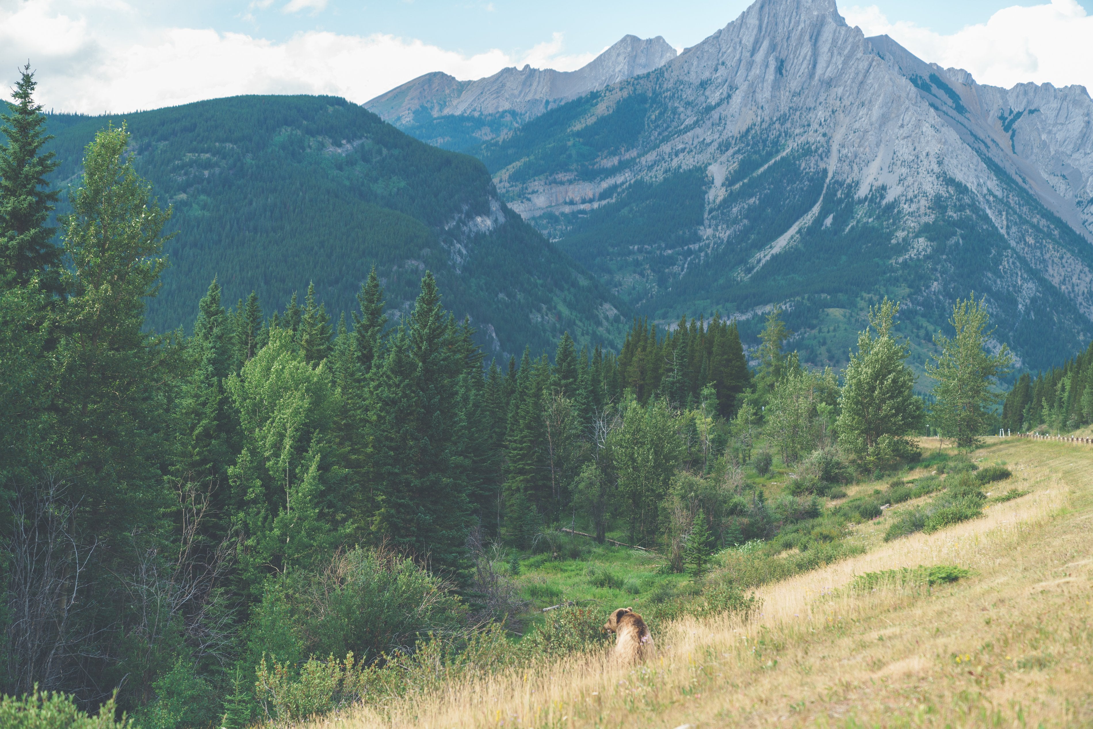 Beyond the Trail