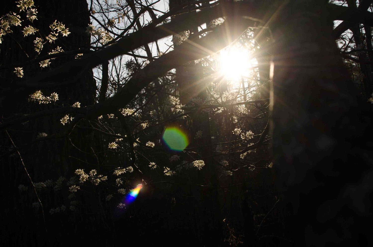 Give Back More Than You Take: The Importance of a Healthy and Intact Environment