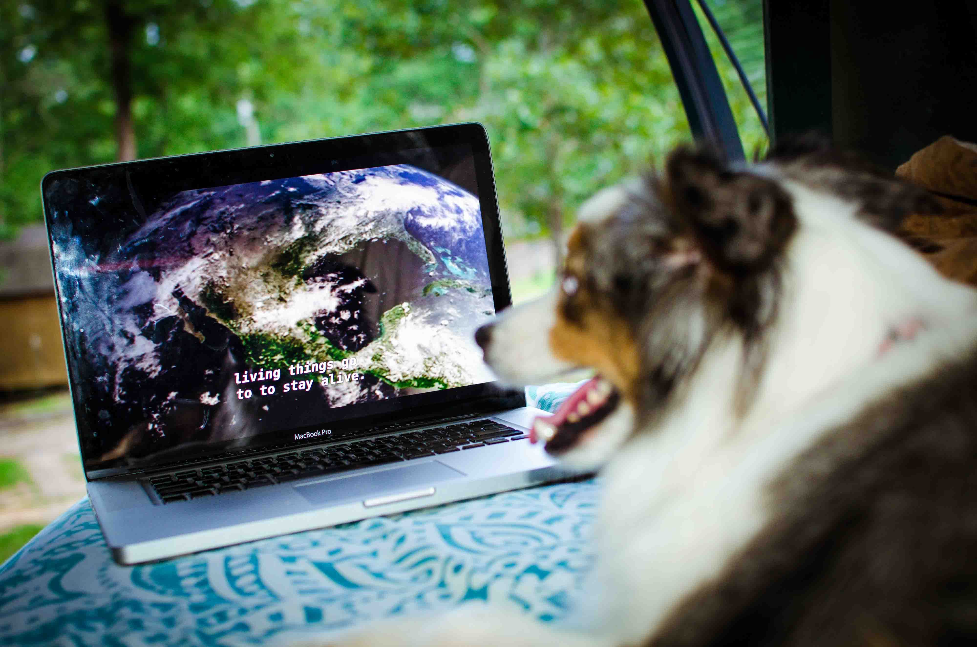 Top 4 Netflix Documentaries About Saving Our Oceans