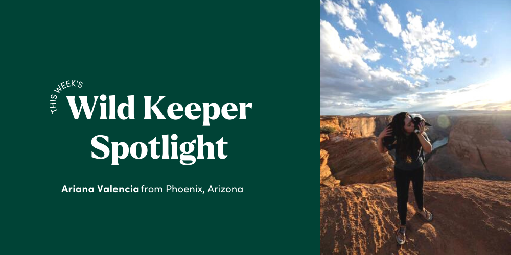 Wild Keeper Spotlight: Ariana Valencia