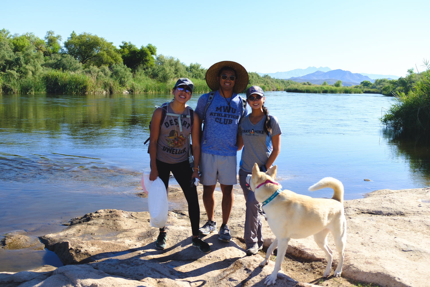 What is our Summer term theme?