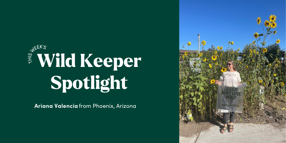 Wild Keeper Spotlight: Robbie Gershon