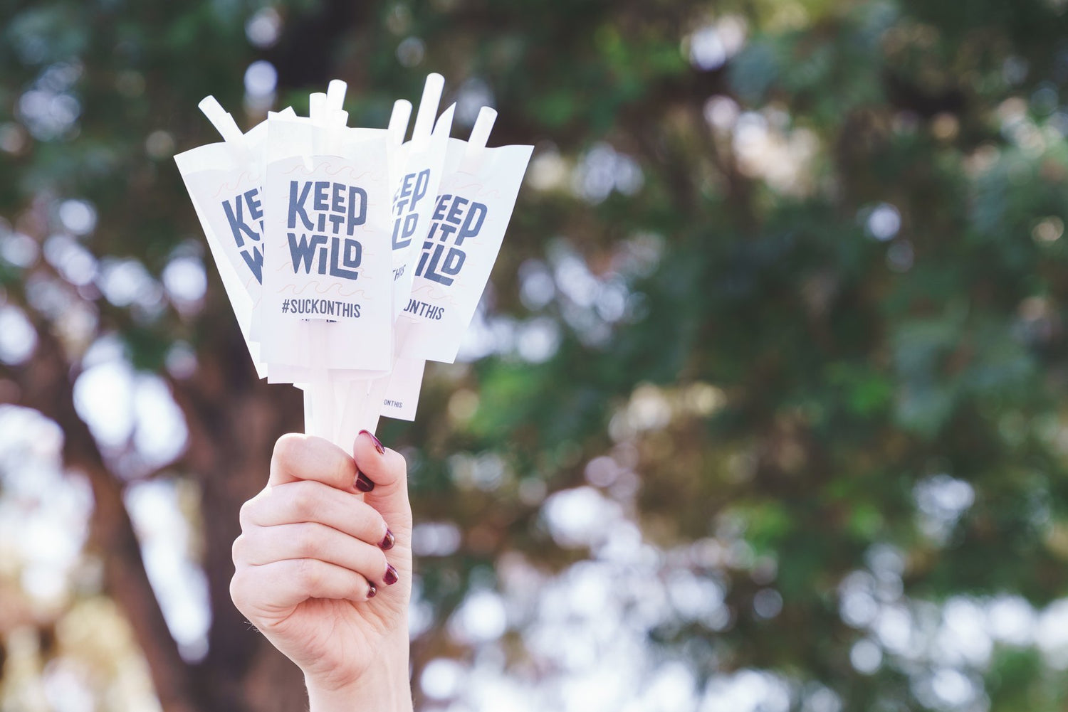 Banning Plastic Straws and Ending Plastic Pollution