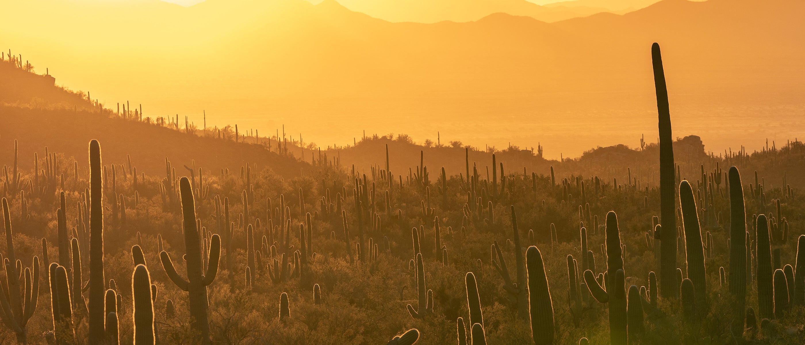 Arizona