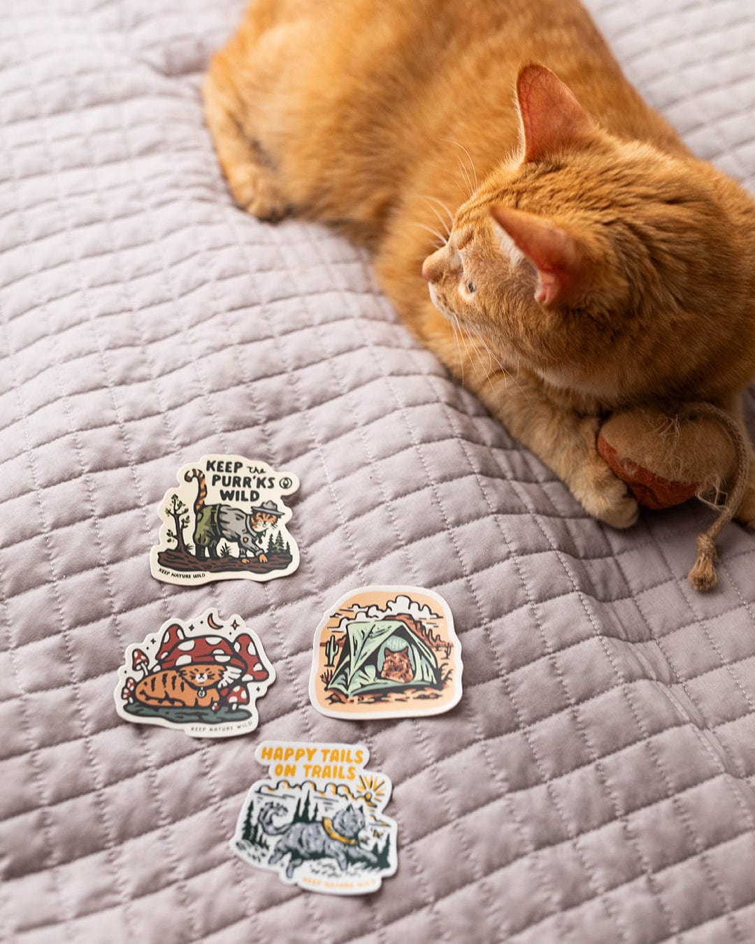Keep Nature Wild 2 Cat Tees + 9 Stickers Free | Cat Paws in Nature & Wild Cat | Bundle