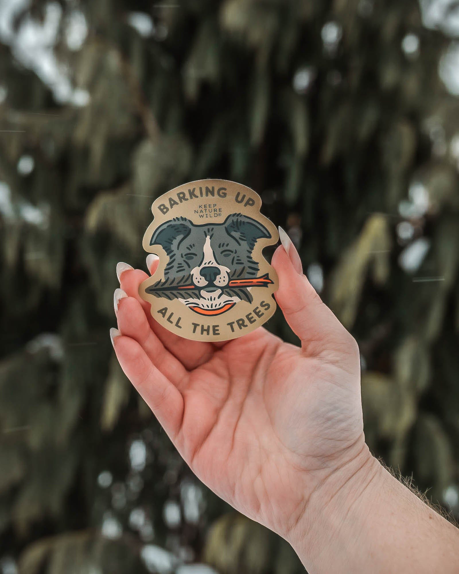 Keep Nature Wild Sticker Barking Up All the Trees | Sticker