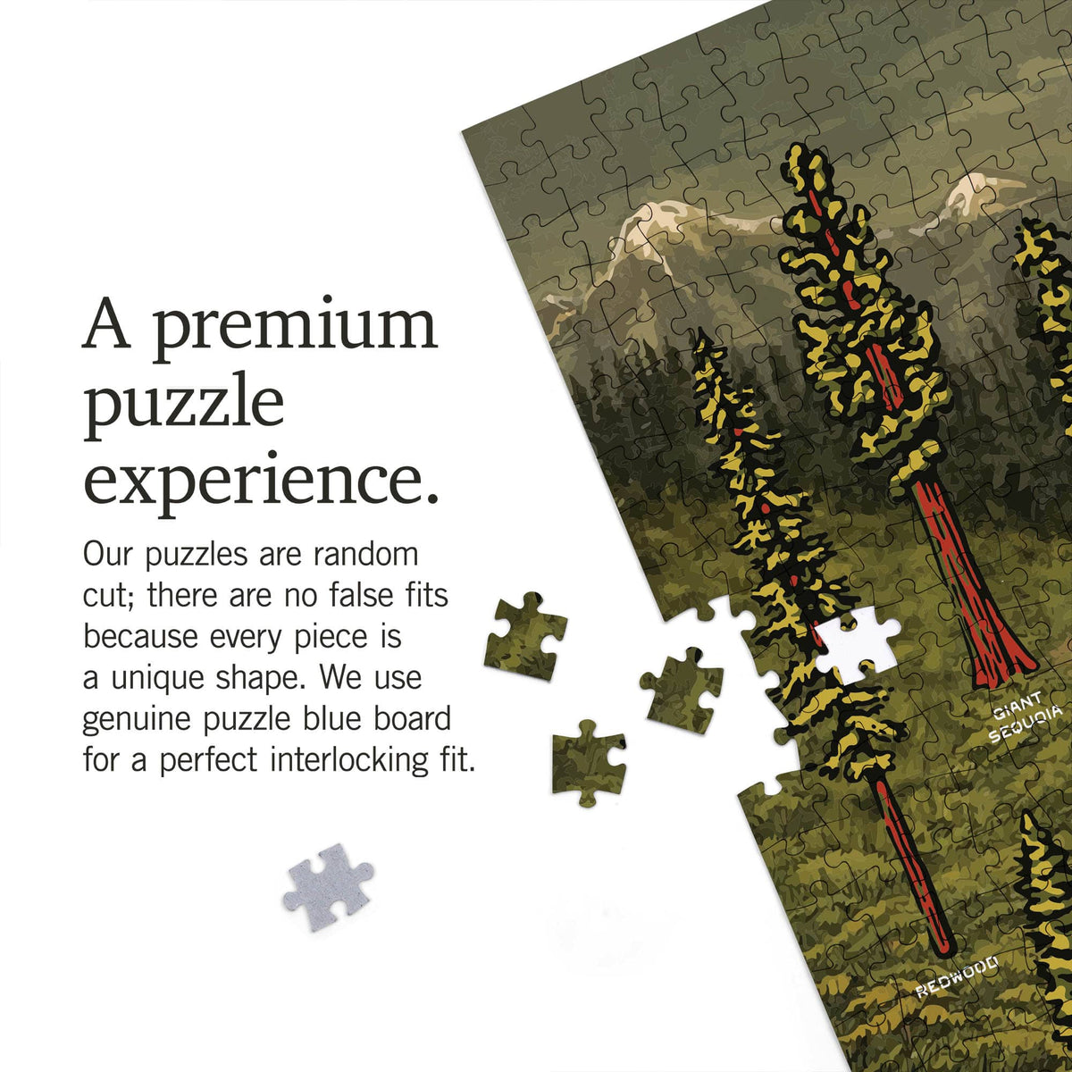 Keep Nature Wild Puzzle Nature Study Puzzle | 18.5 x 27.75" | 1000 Piece