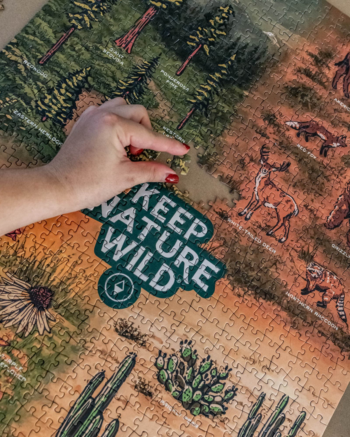 Keep Nature Wild Puzzle Nature Study Puzzle | 18.5 x 27.75" | 1000 Piece
