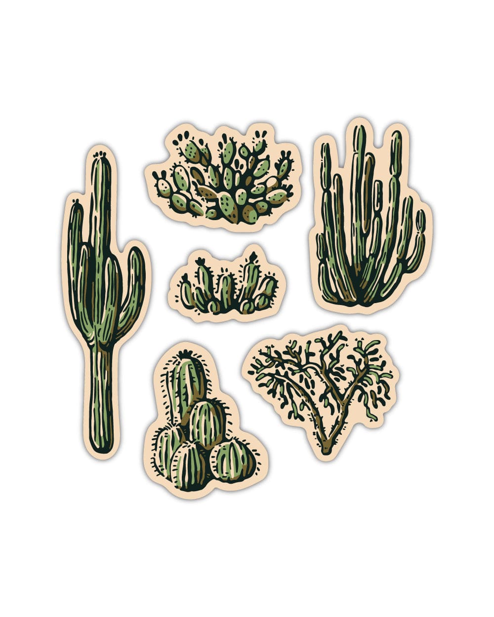 Keep Nature Wild Sticker Nature Study Water Bottle Sticker Pack | Cacti