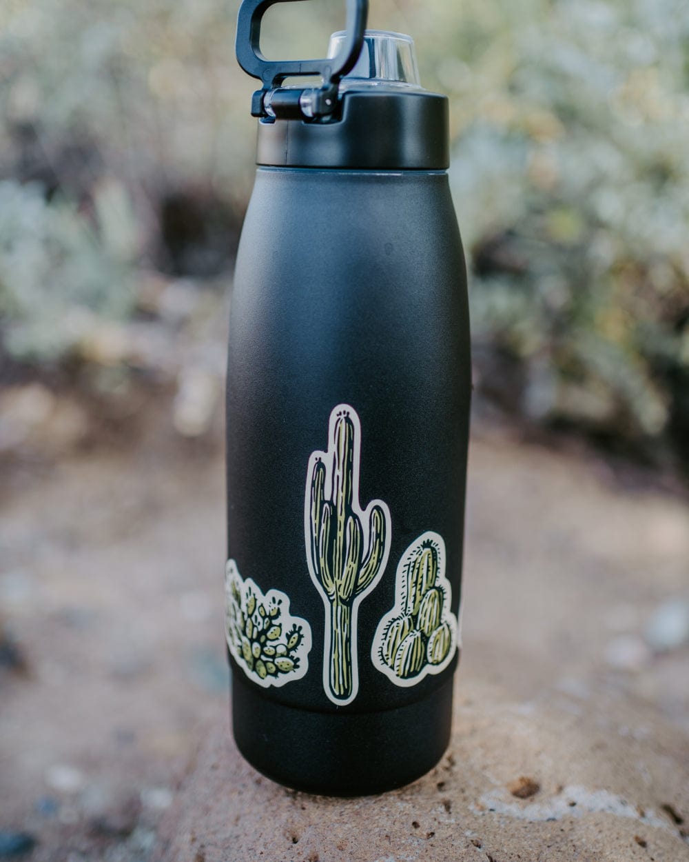 Keep Nature Wild Sticker Nature Study Water Bottle Sticker Pack | Cacti