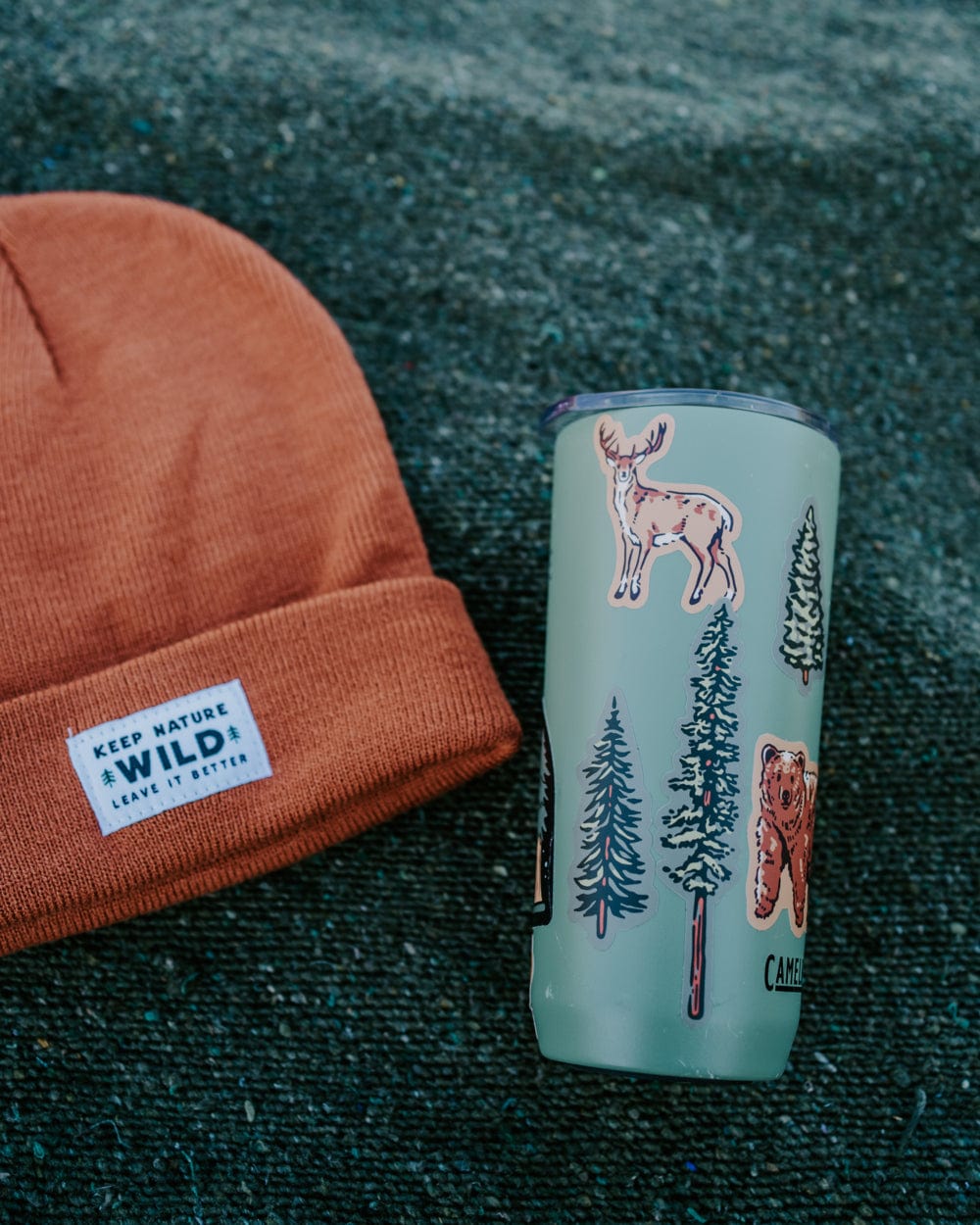 Keep Nature Wild Sticker Nature Study Water Bottle Sticker Pack | Wildlife