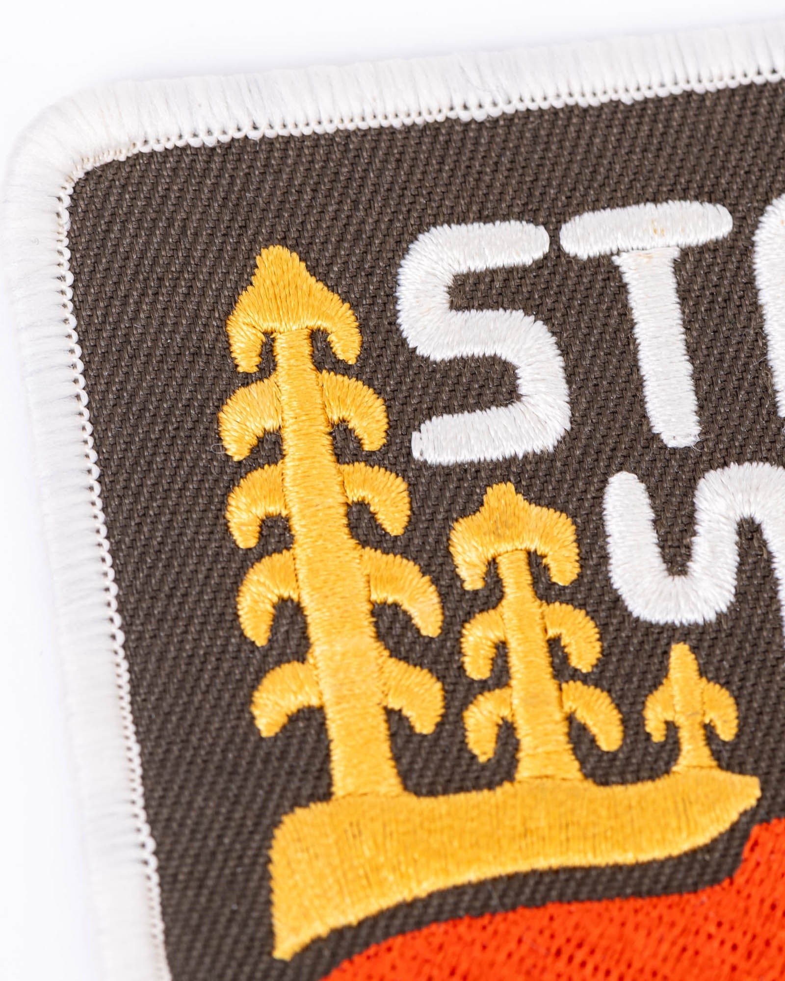 Keep Nature Wild Patch Stay Wild Grizzly | Patch