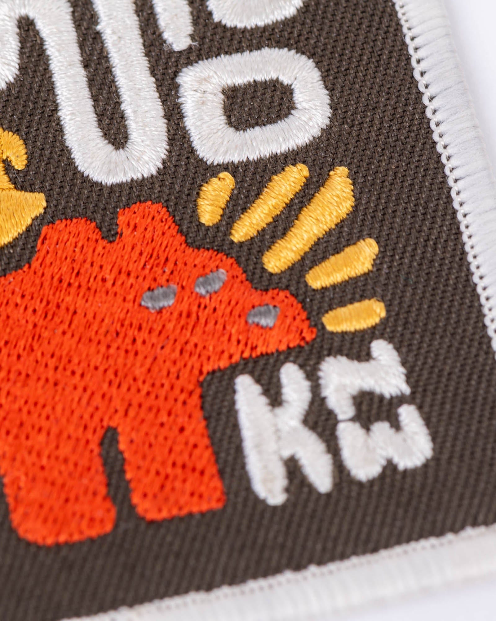 Keep Nature Wild Patch Stay Wild Grizzly | Patch