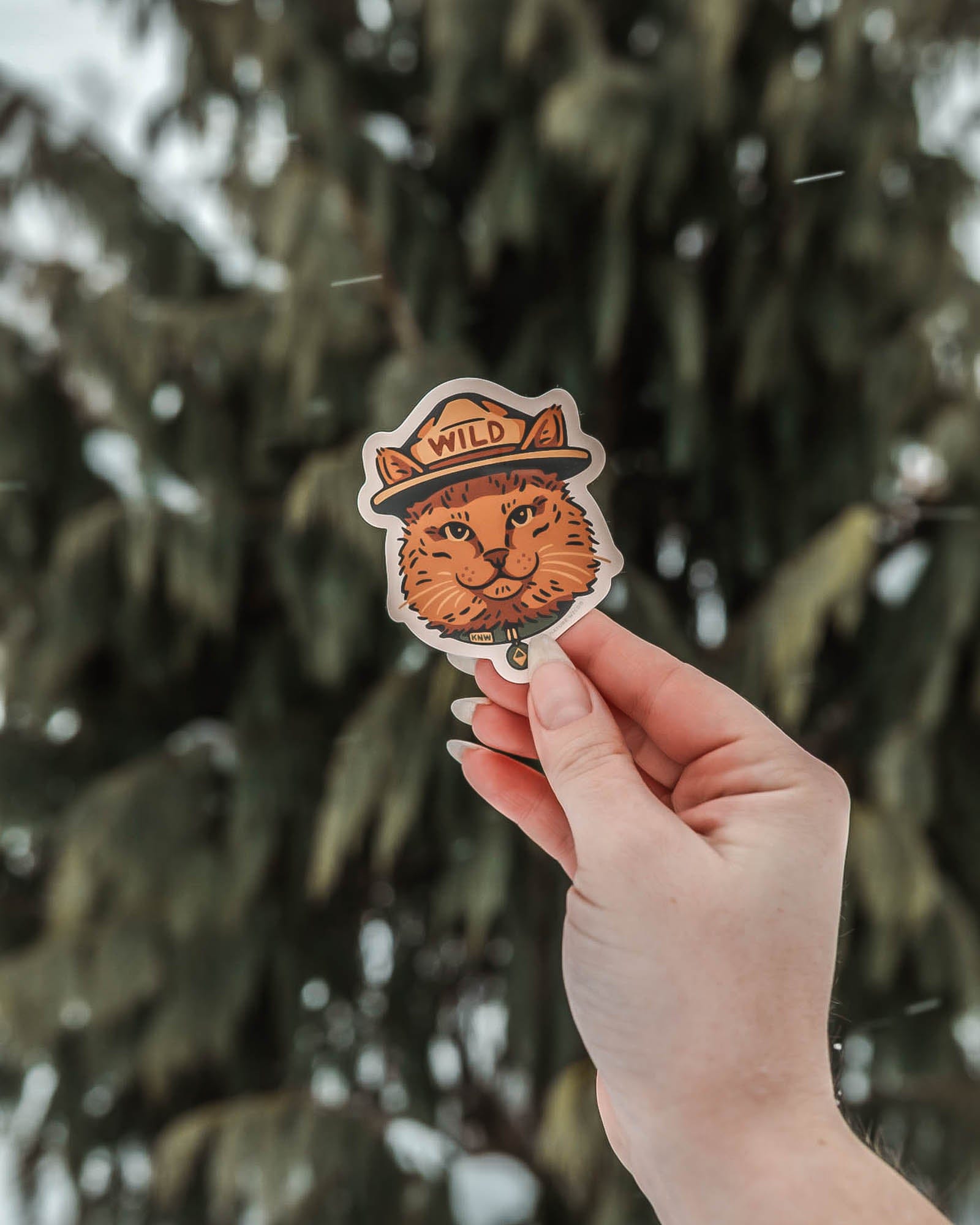 Keep Nature Wild Sticker Wild Cat | Sticker