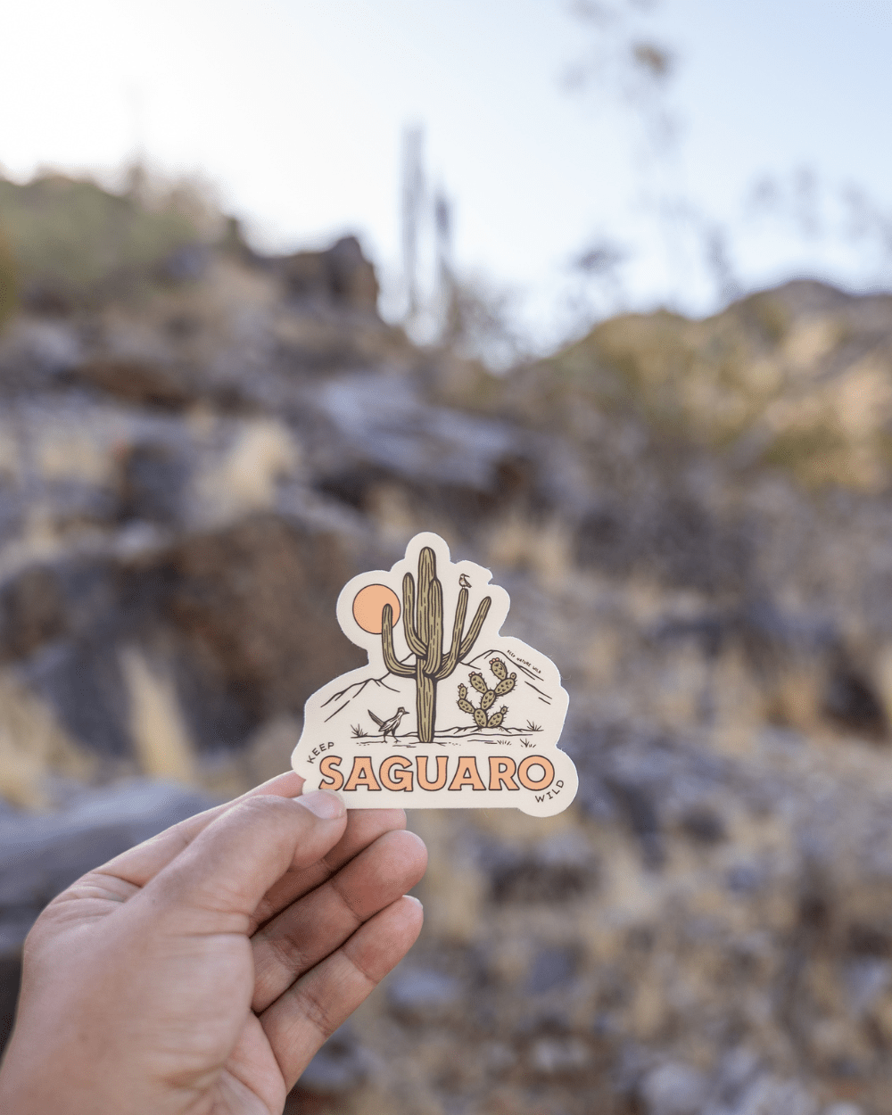 Keep Nature Wild Sticker Keep Saguaro Wild | Sticker