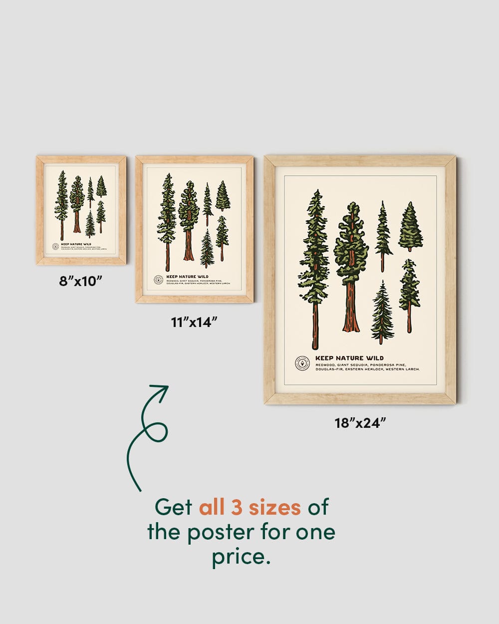 Keep Nature Wild accessories Digital Download Nature Study Digital Download Poster | Conifers