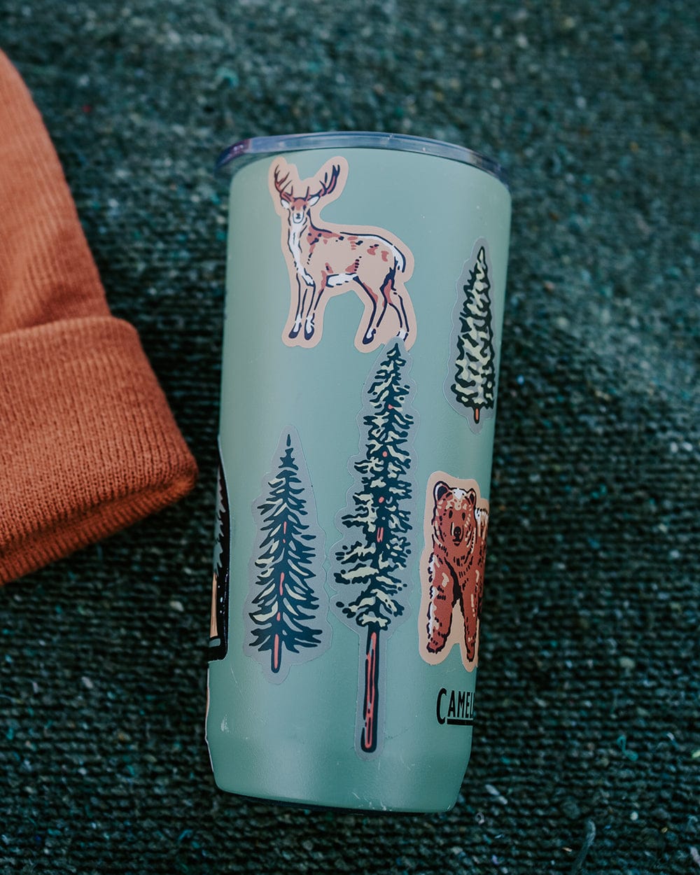 Keep Nature Wild Sticker Nature Study Water Bottle Sticker Pack