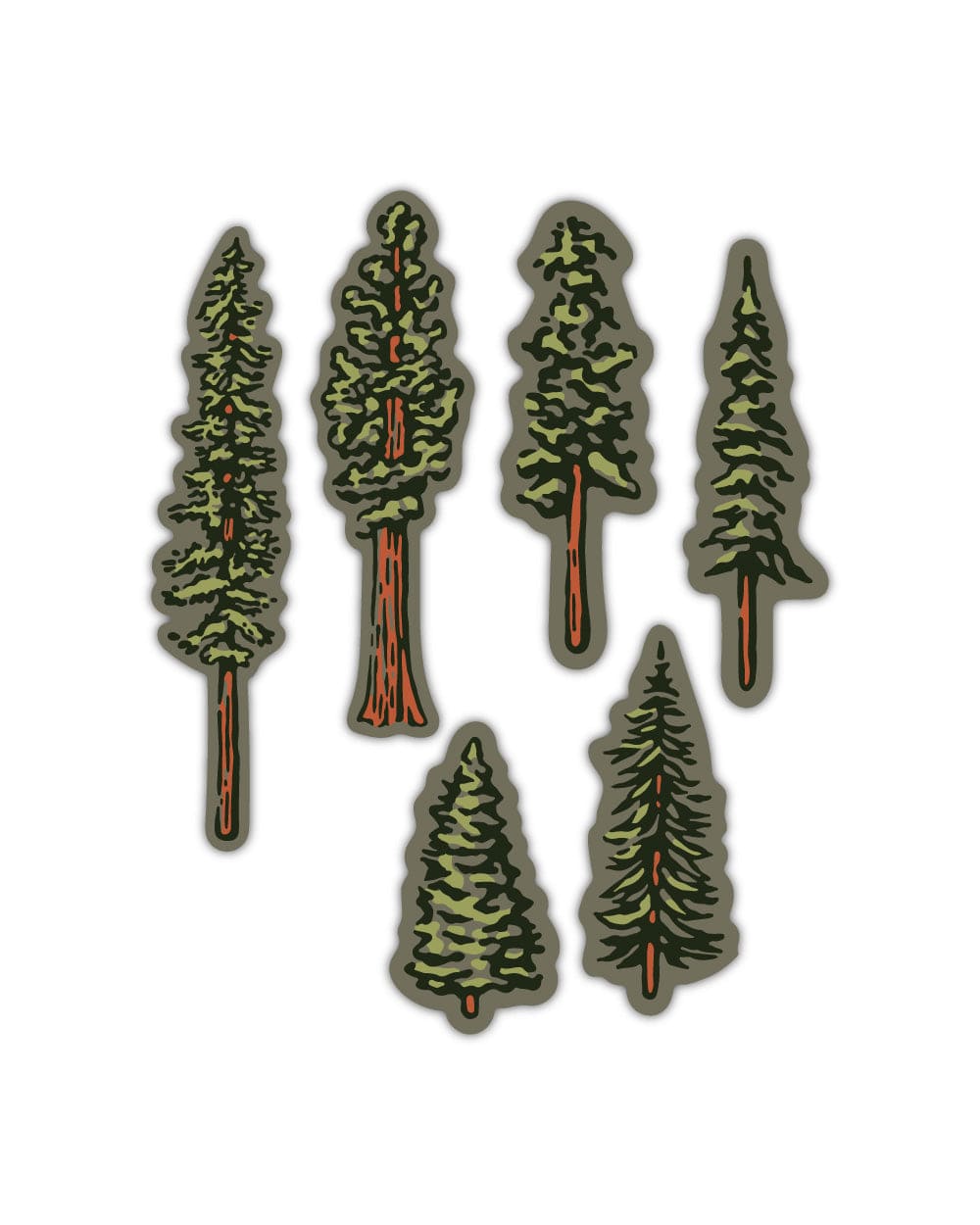 Keep Nature Wild Sticker Conifers Nature Study Water Bottle Sticker Pack