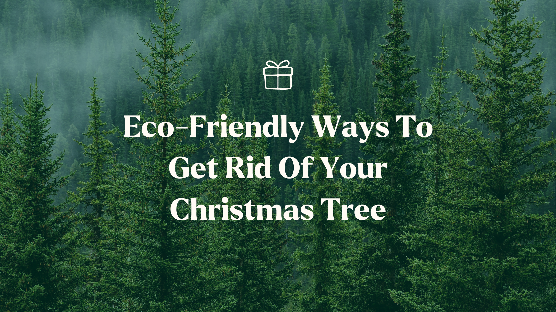 Eco-Friendly Ways To Get Rid Of Your Christmas Tree