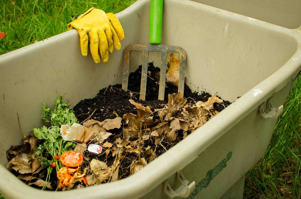 Should I Be Composting?