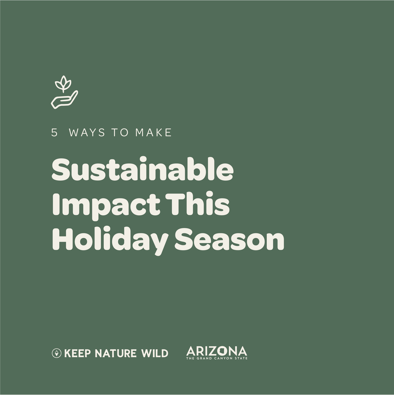 5 Ways to Make a Sustainable Impact This Holiday Season