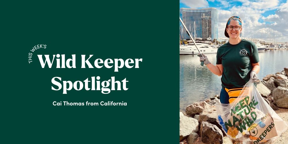 Wild Keeper Spotlight: Cai Thomas