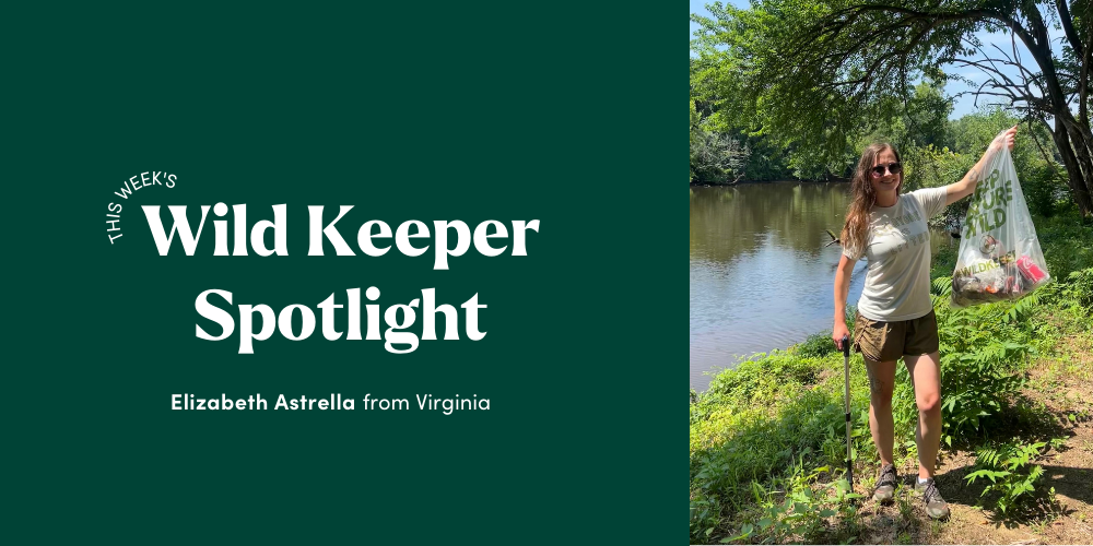 Wild Keeper Spotlight: Elizabeth Astrella