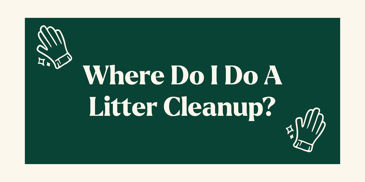 Where Do I Do A Litter Cleanup?
