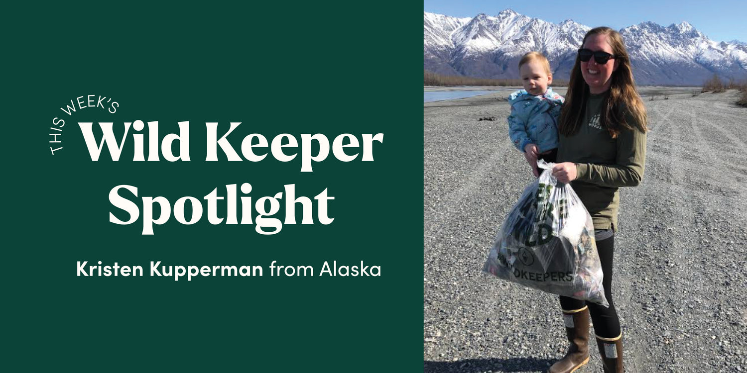 Wild Keeper Spotlight: Kristen Kupperman