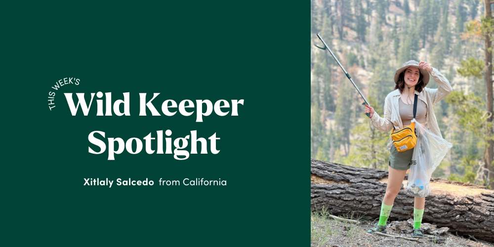 Wild Keeper Spotlight: Xitlaly Salcedo