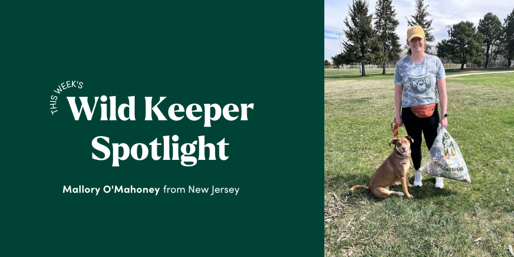 Wild Keeper Spotlight: Mallory O'Mahoney