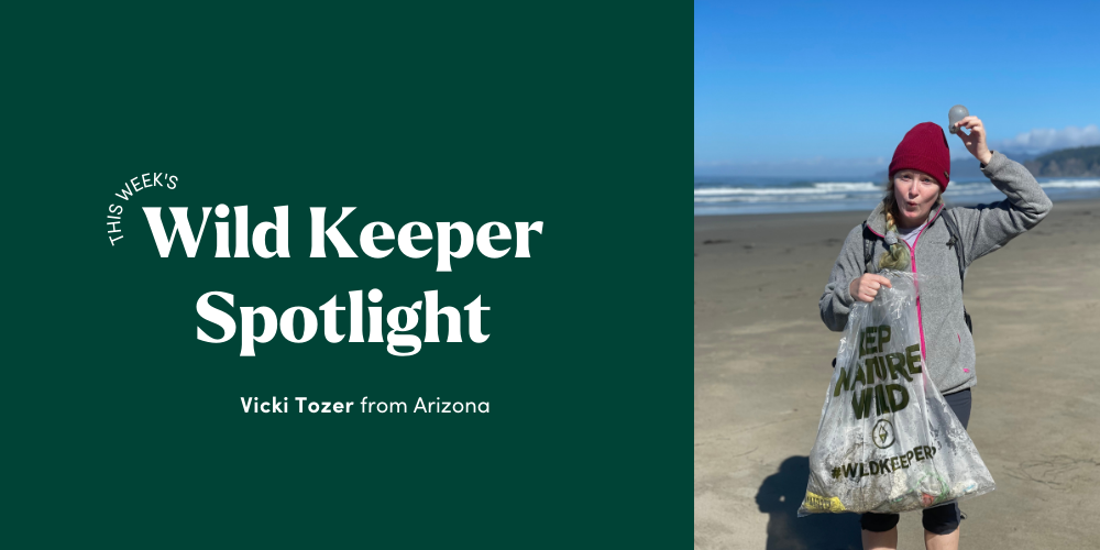 Wild Keeper Spotlight: Vicki Tozer