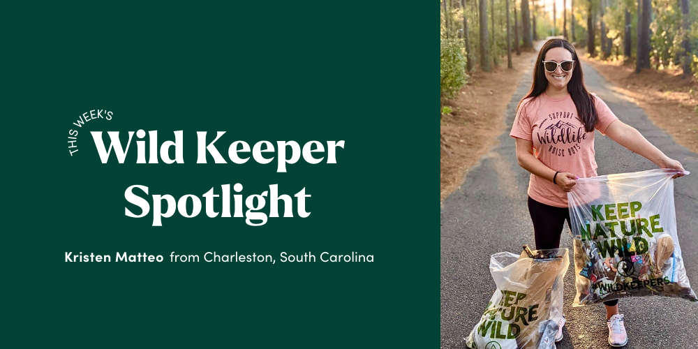 Wild Keeper Spotlight: Kristen Matteo