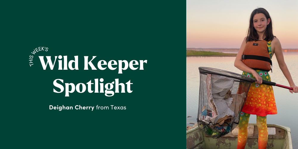 Wild Keeper Spotlight: Deighan Cherry