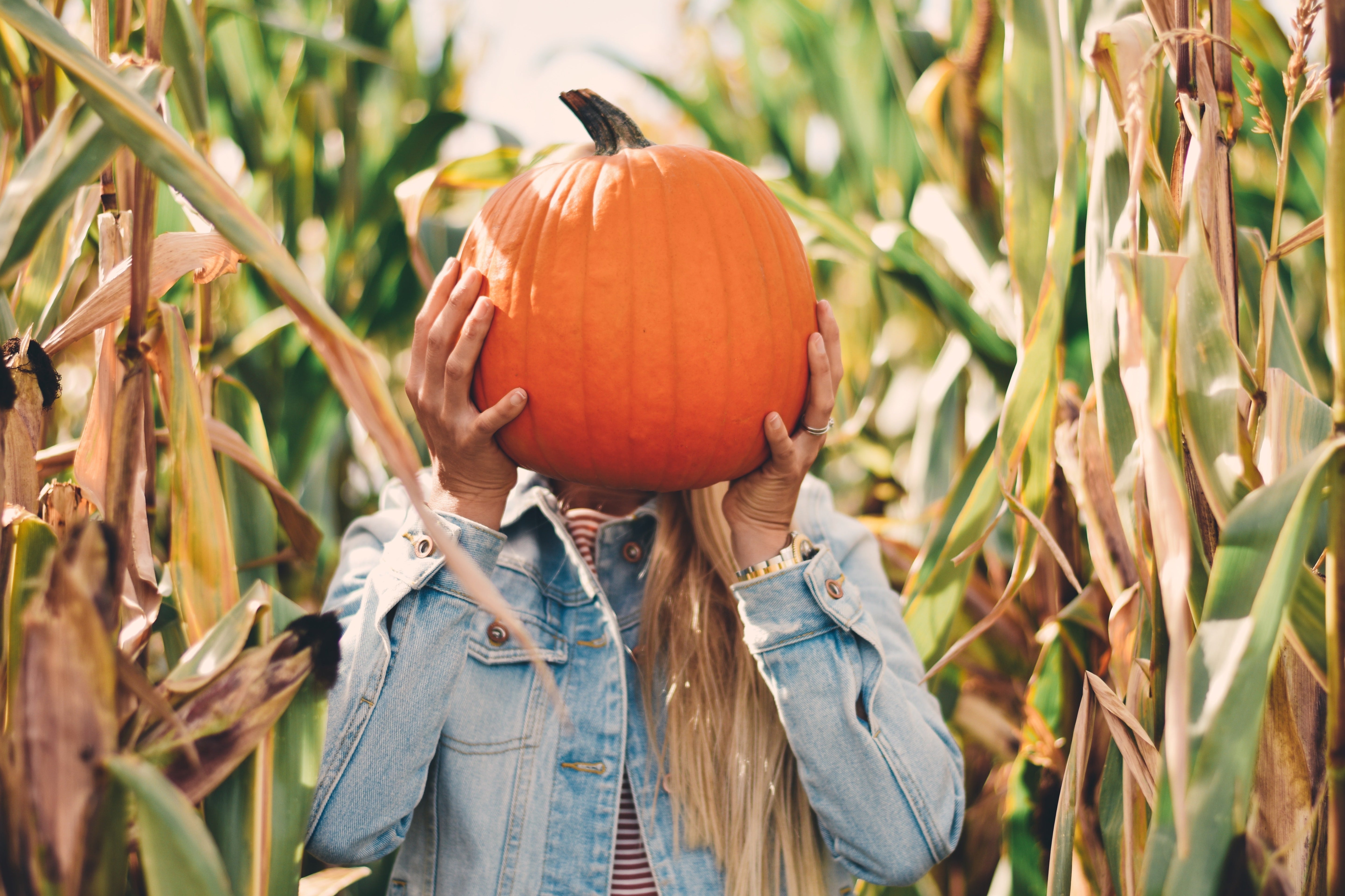 Sustainable Halloween: 8 Ways to Keep Pumpkins Out of Landfills
