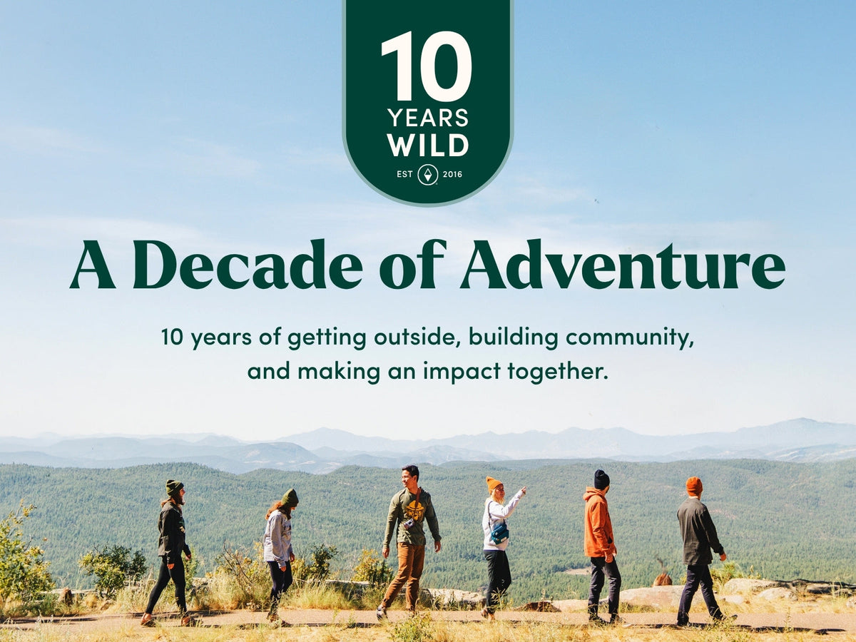 10 Years Wild