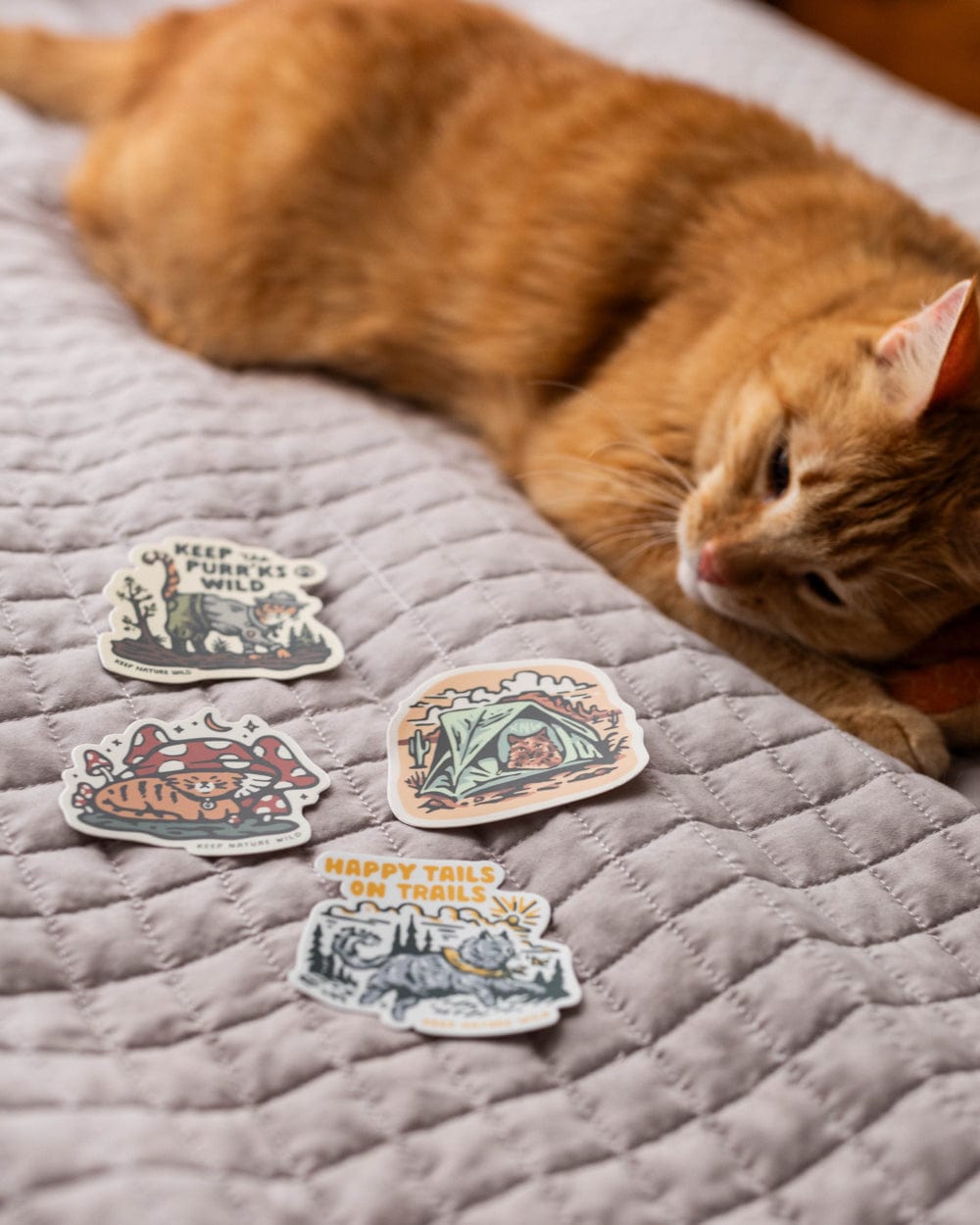 Keep Nature Wild Sticker Happy Tails on Trails Cat | Sticker