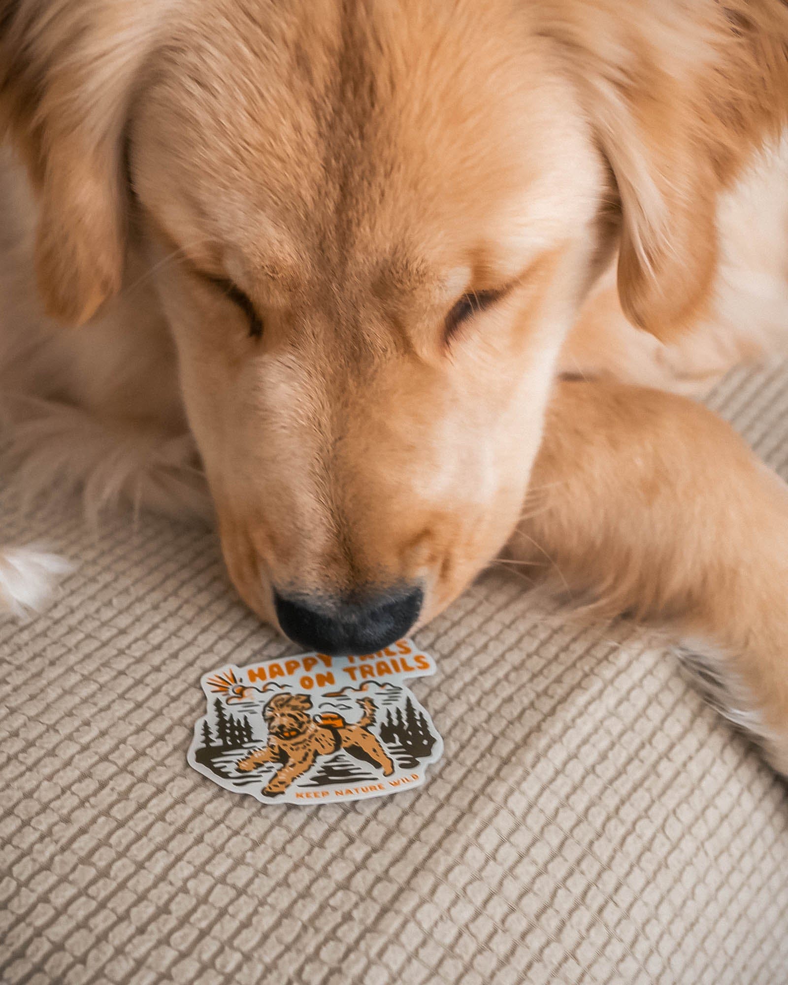 Keep Nature Wild Sticker Happy Tails on Trails Forest | Sticker