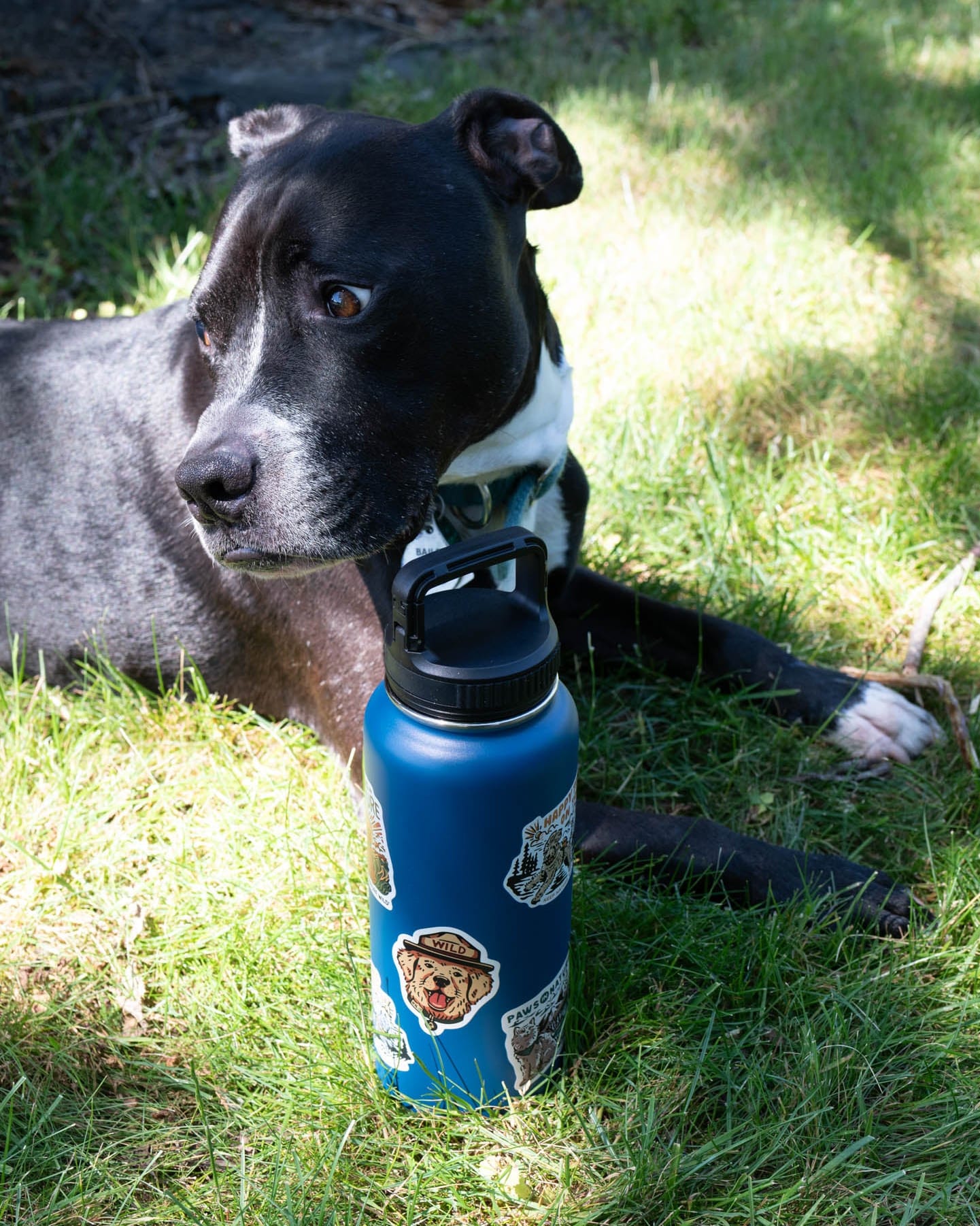 Keep Nature Wild Water Bottle Insulated 32oz Water Bottle: Pets | Navy