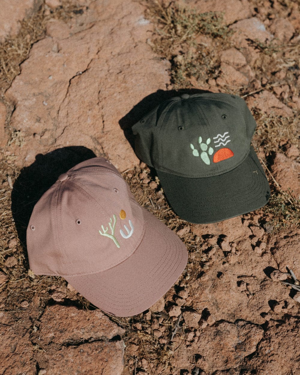 Keep Nature Wild Lone Yucca Dad Hat | Hazy Rose