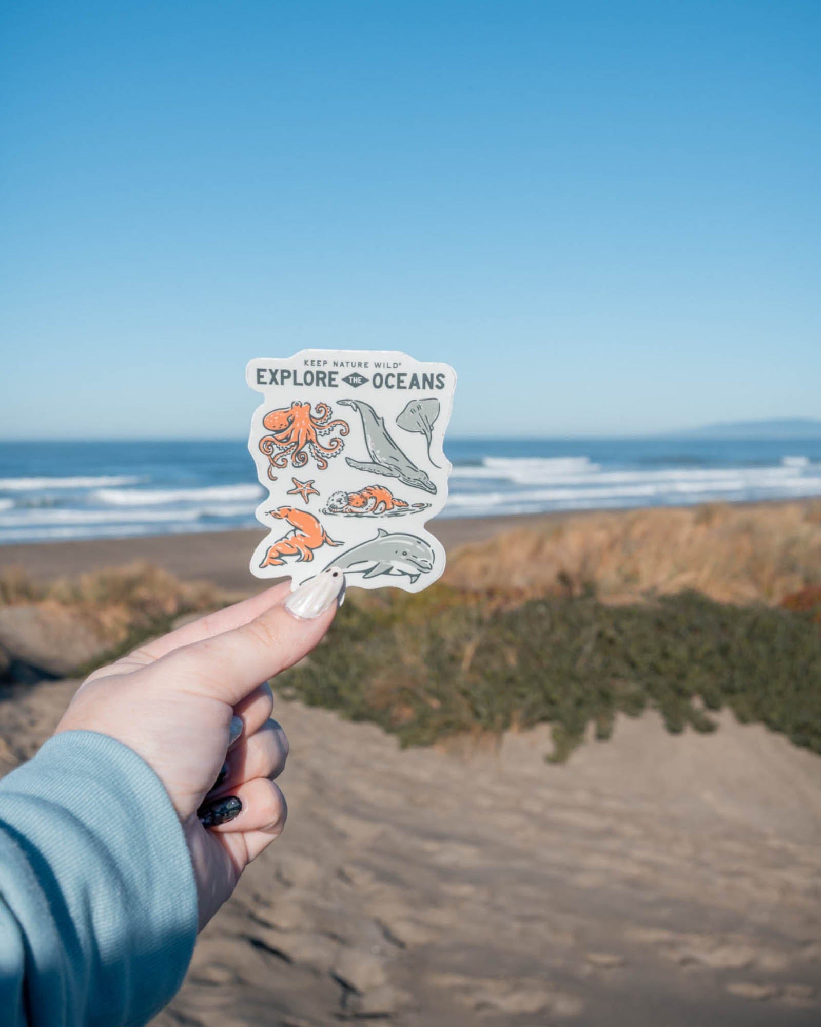 Keep Nature Wild Sticker Nature Study West Coast Wildlife | Sticker