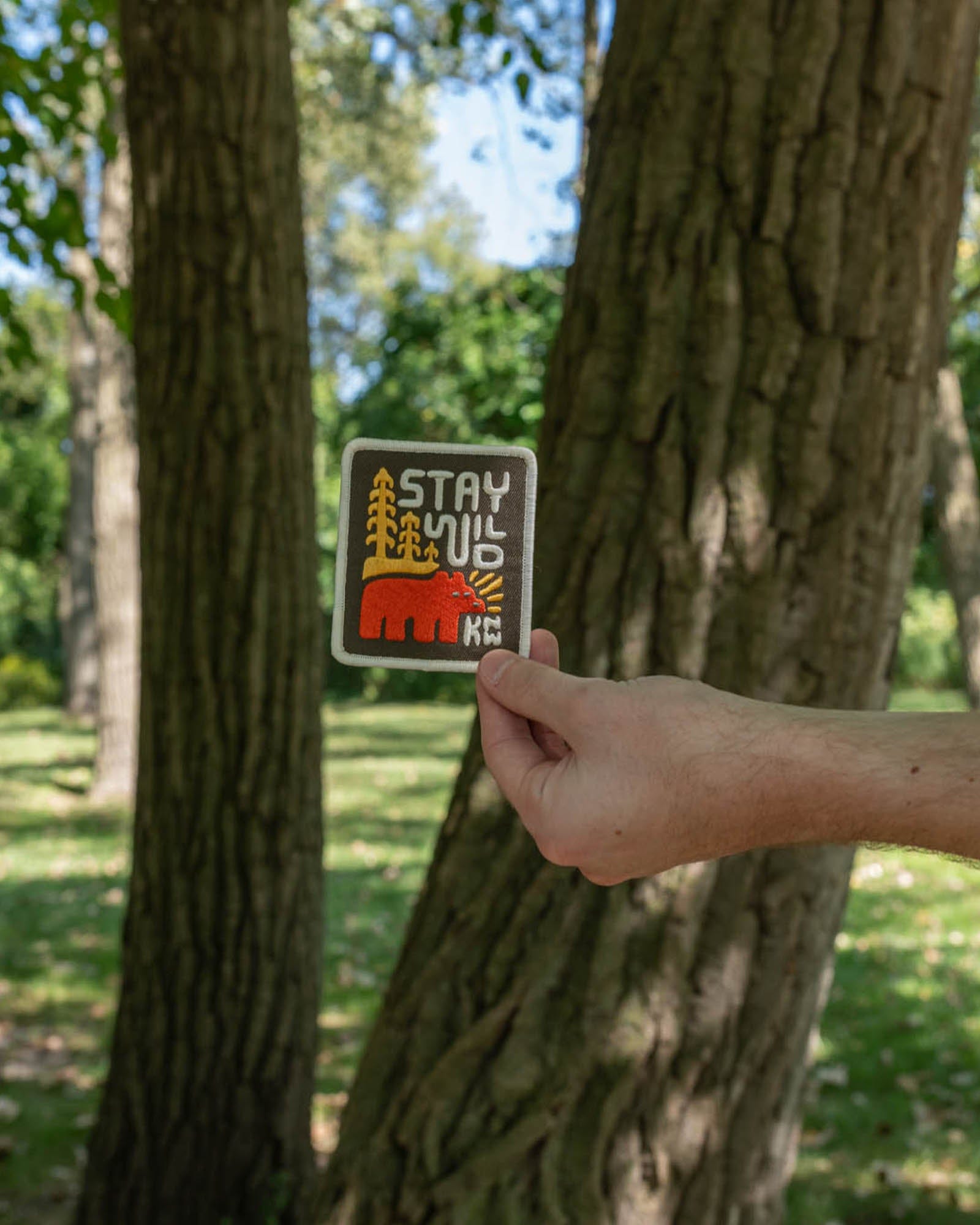 Keep Nature Wild Patch Stay Wild Grizzly | Patch