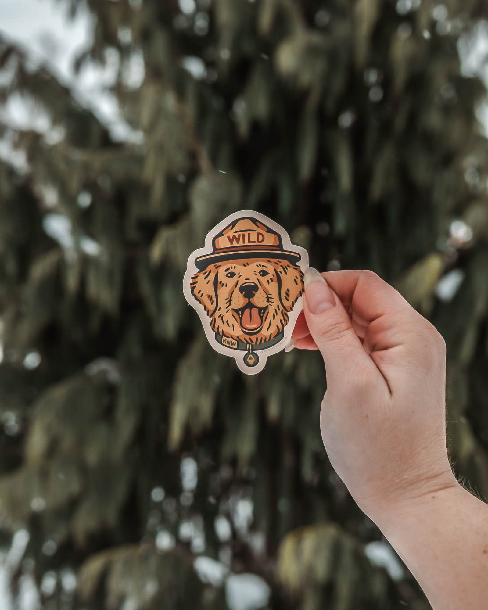 Keep Nature Wild Sticker Wild Dog | Sticker