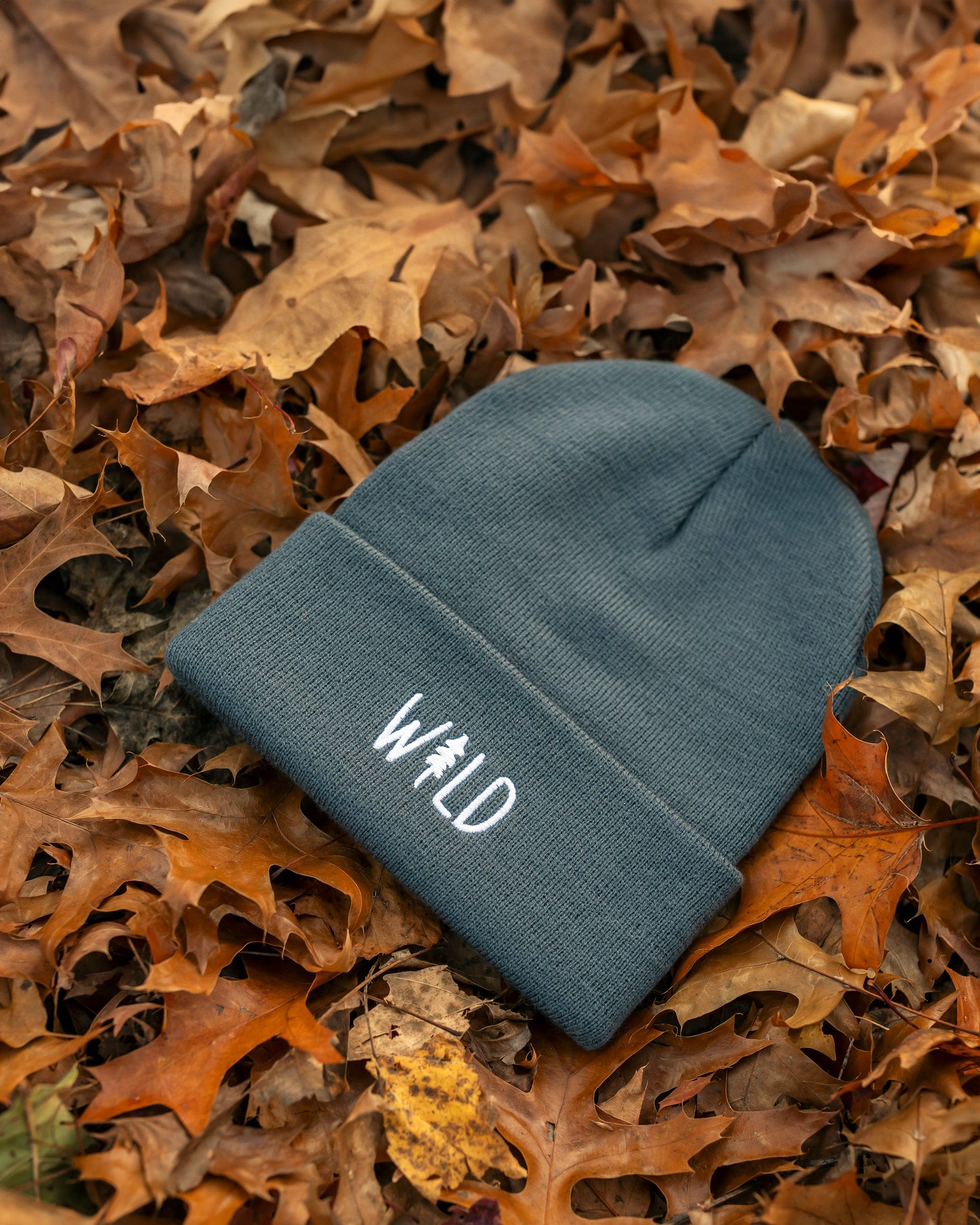 Keep Nature Wild Beanie Wild Pine Beanie | Slate