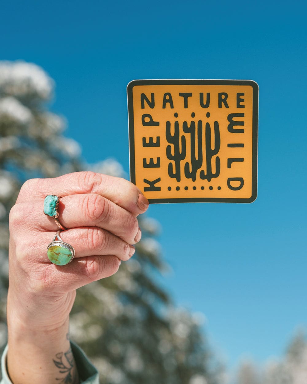 Keep Nature Wild Sticker Cactus Buds | Sticker