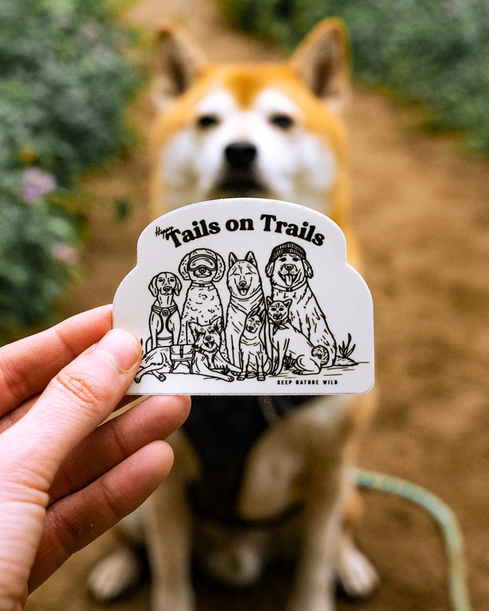 Keep Nature Wild Sticker Happy Tails | Sticker